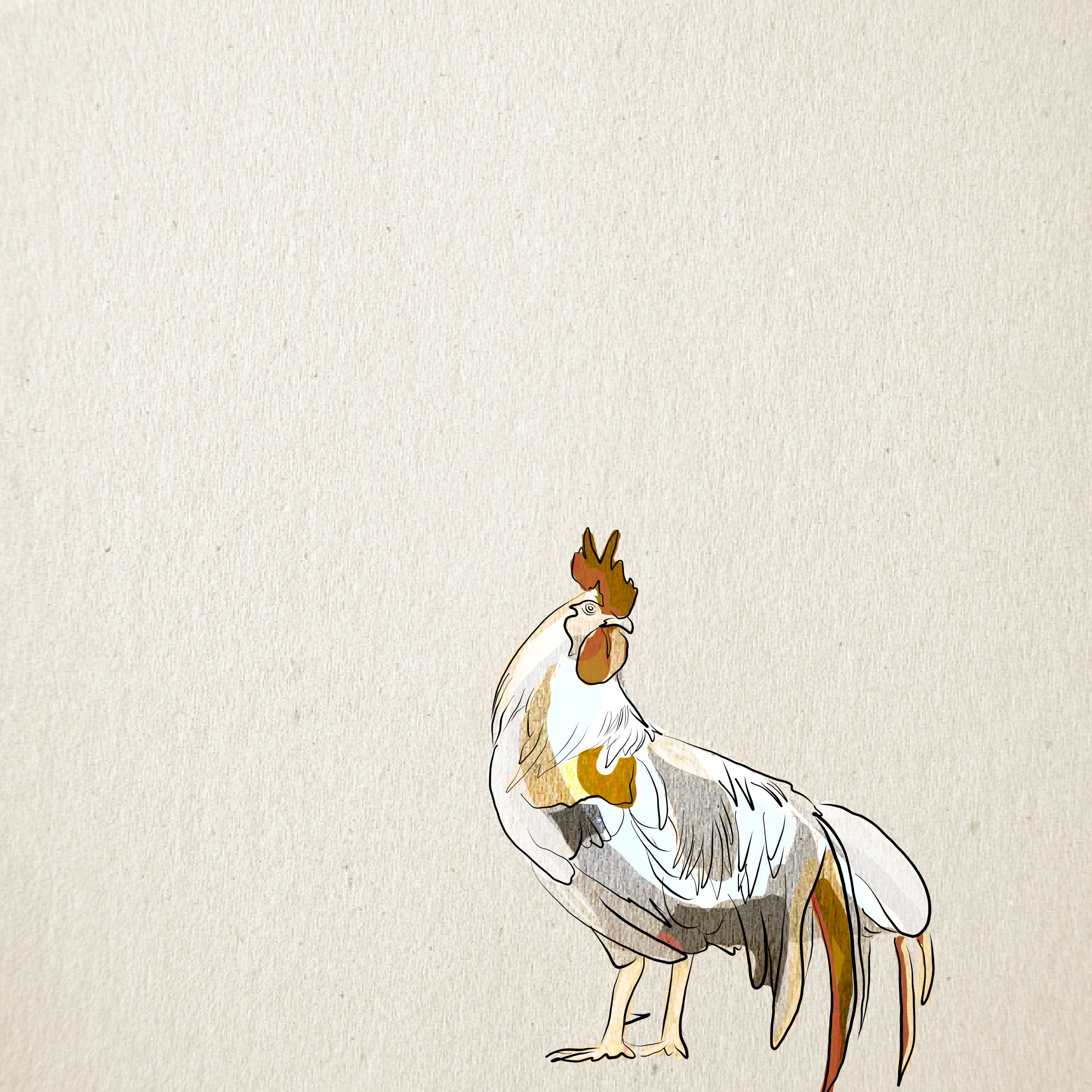 "Rooster" Print