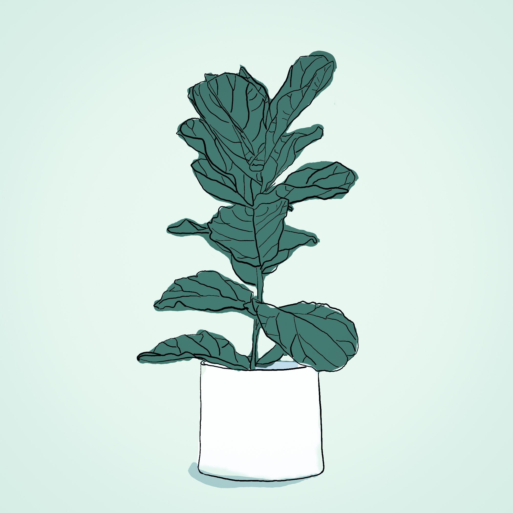 "Fiddle Leaf Fig" Print