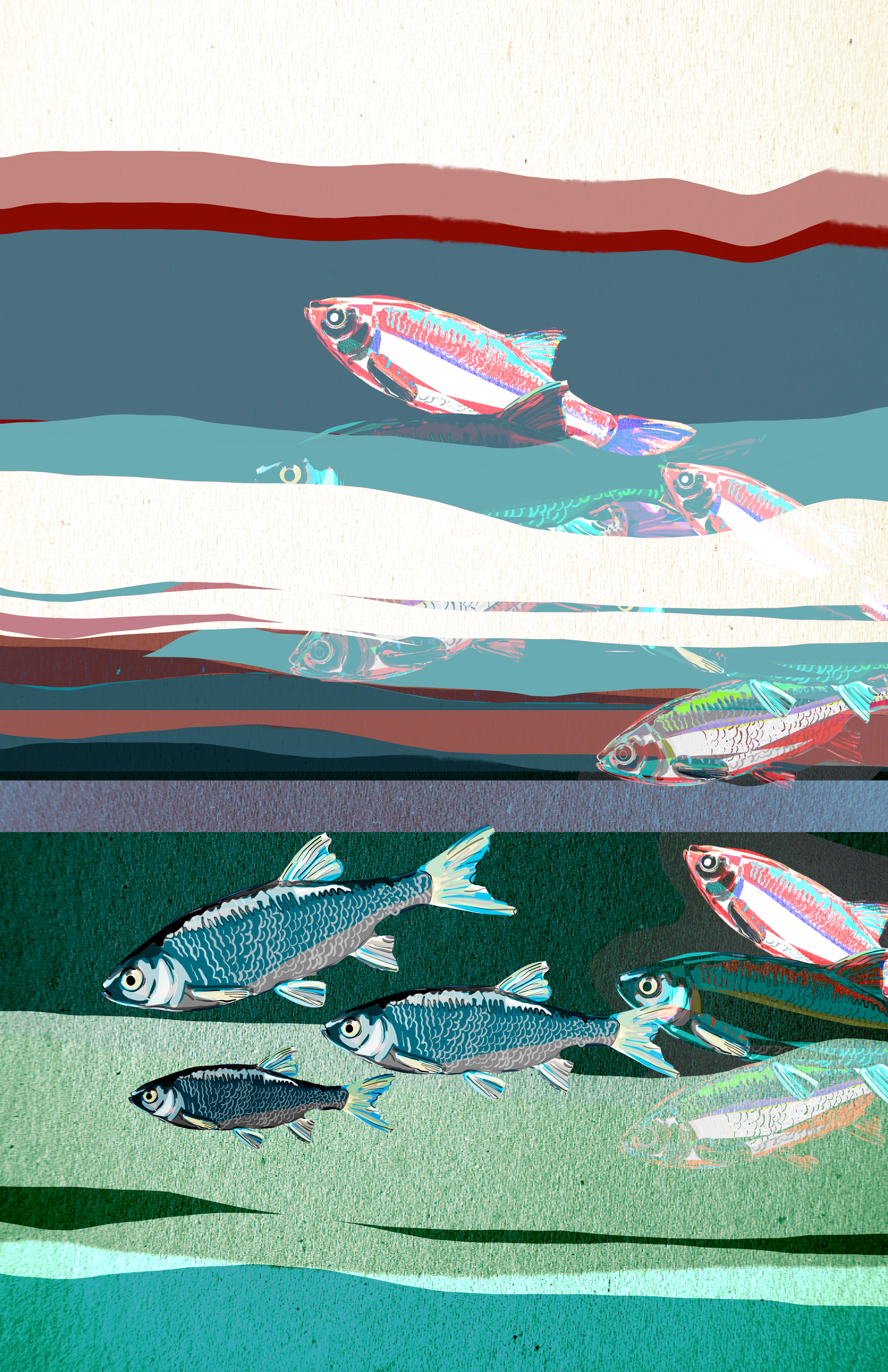 "Rainbow Fish" Print