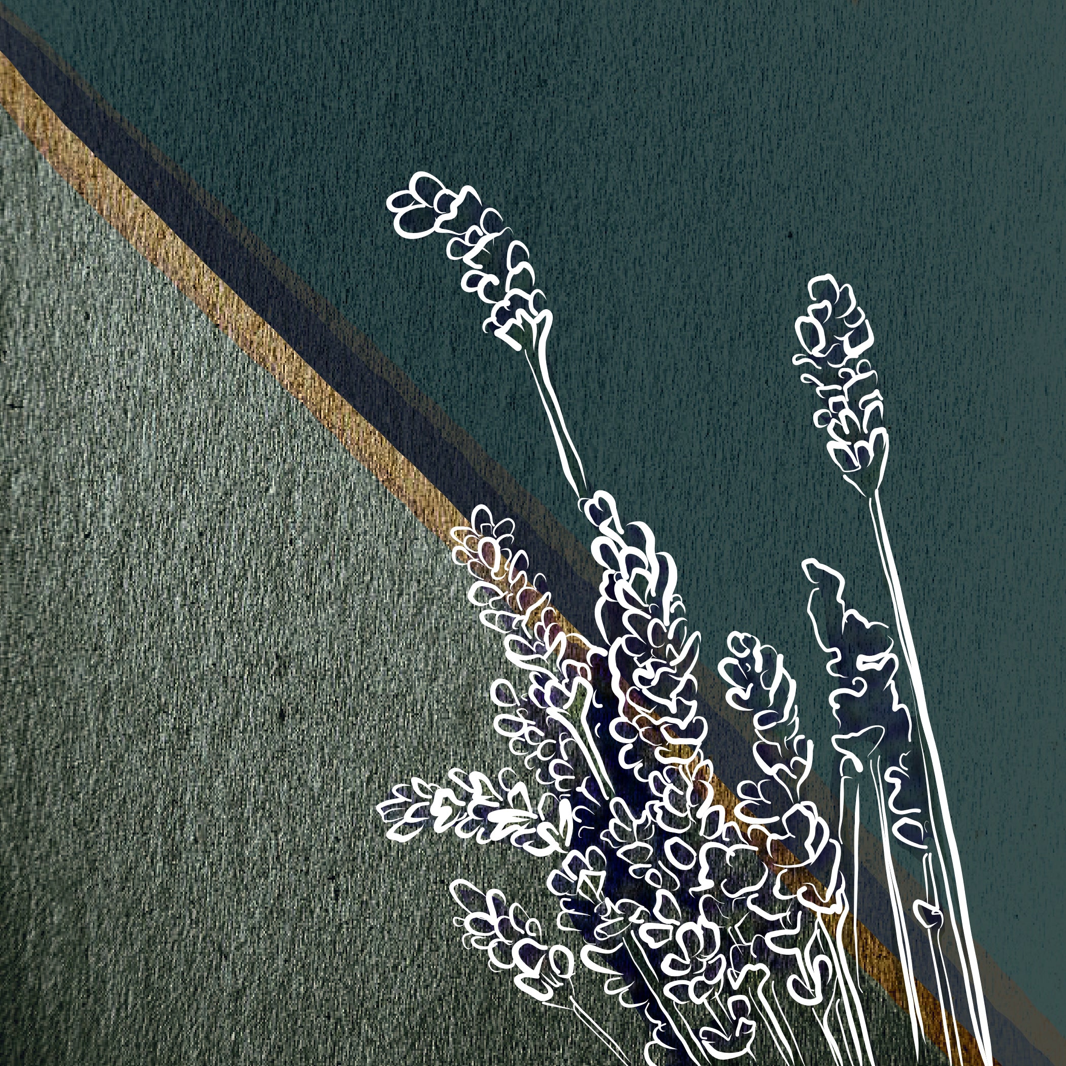 "Mountain Lavender" Print