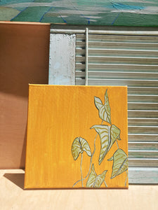 "Arrowhead Philodendron" Canvas