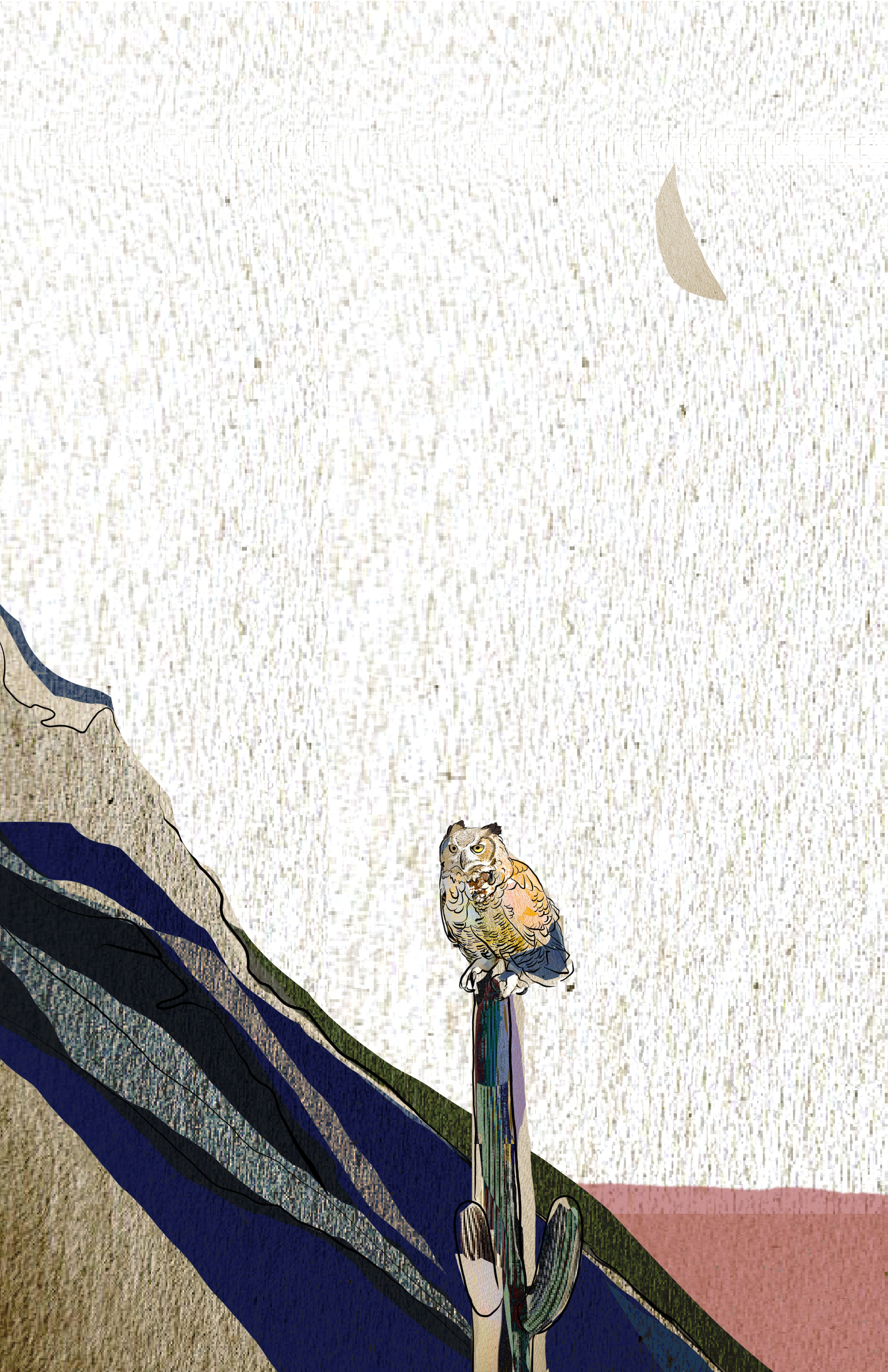"Desert Hoot" Print