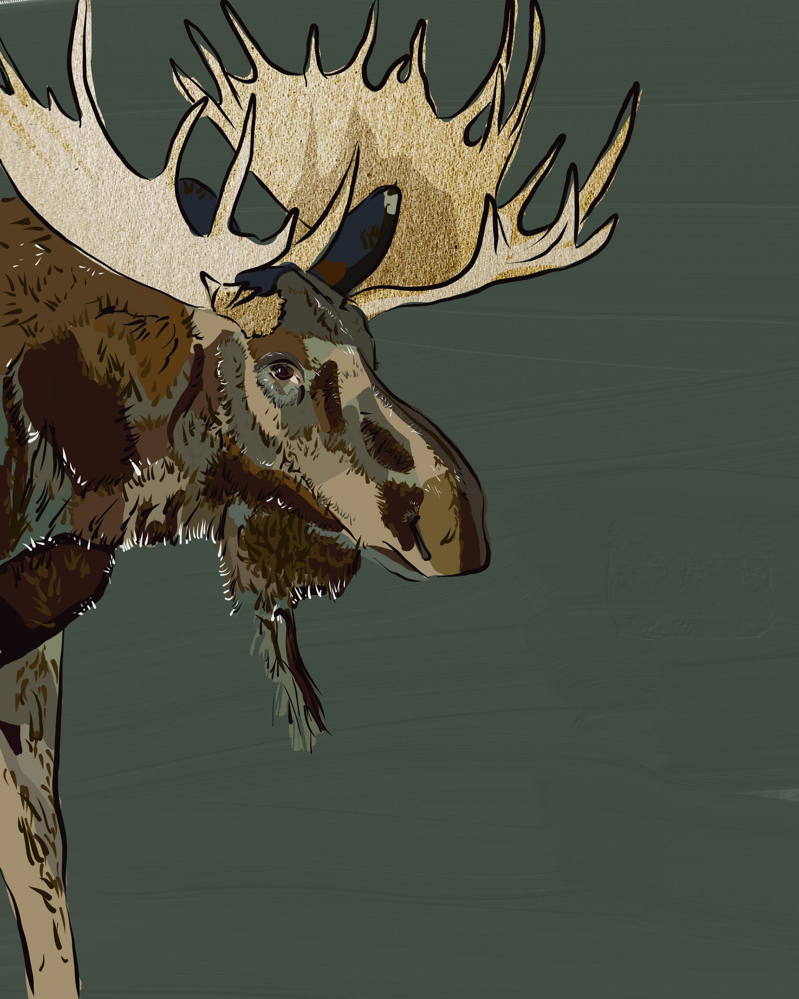 "Forest Moose" Print