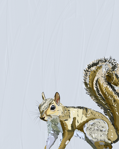 "Squirrel" Print