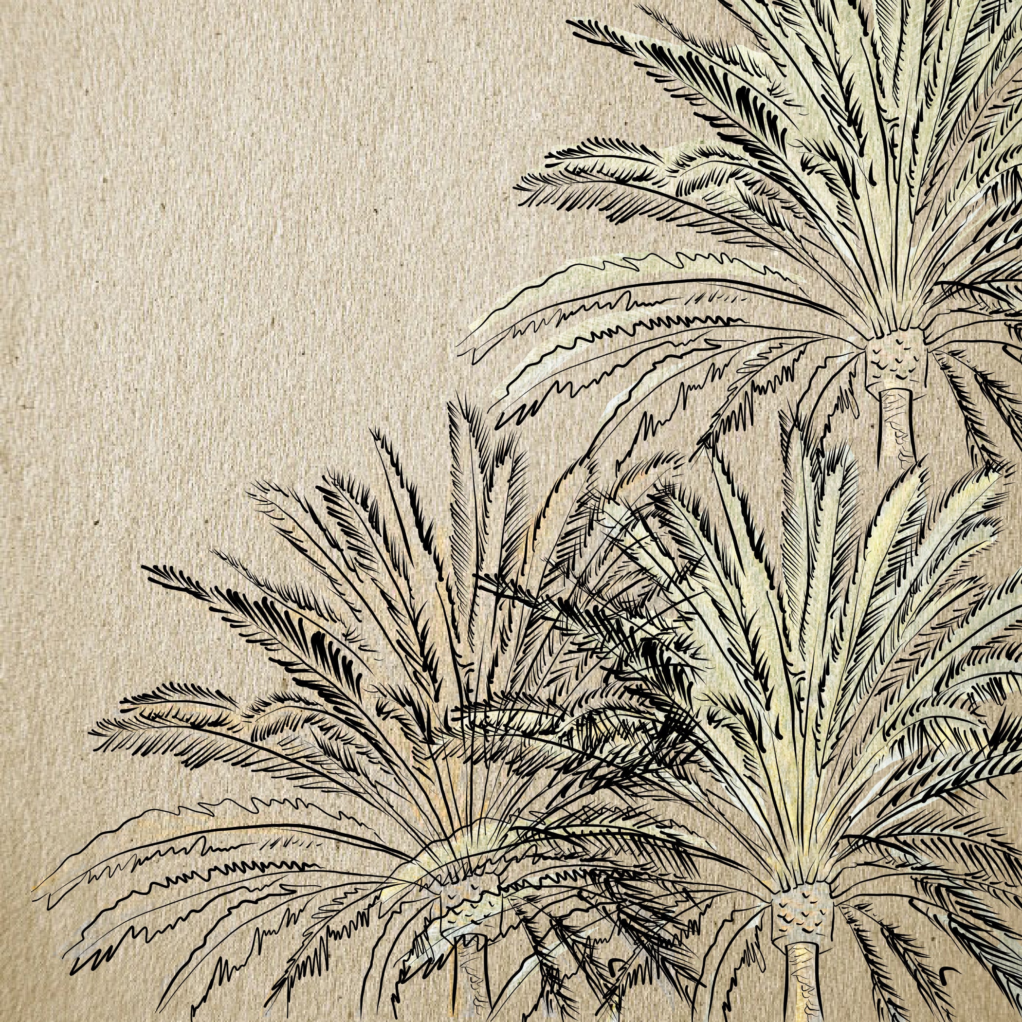 "Palm" Print