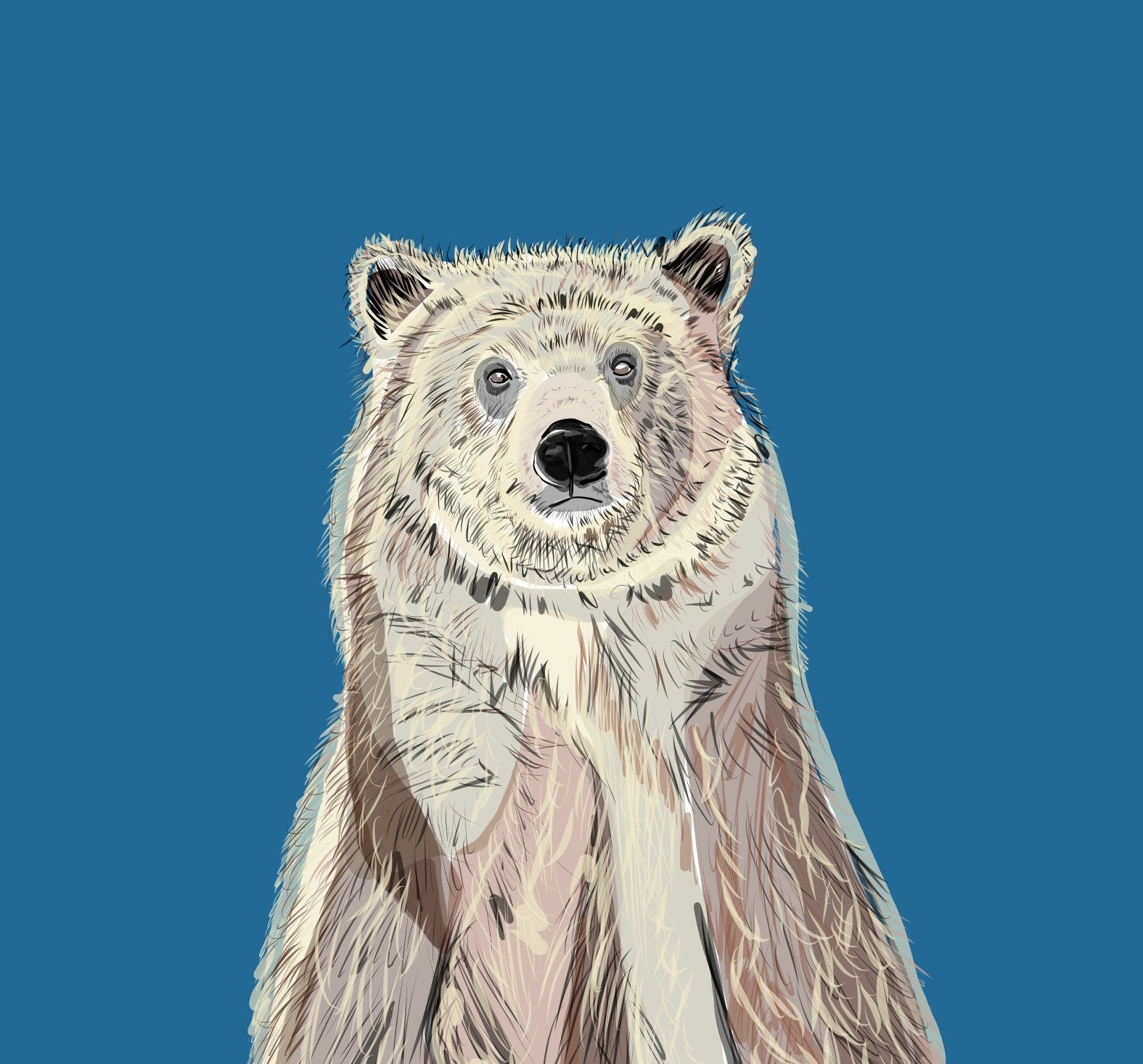 "Grizzly" Print