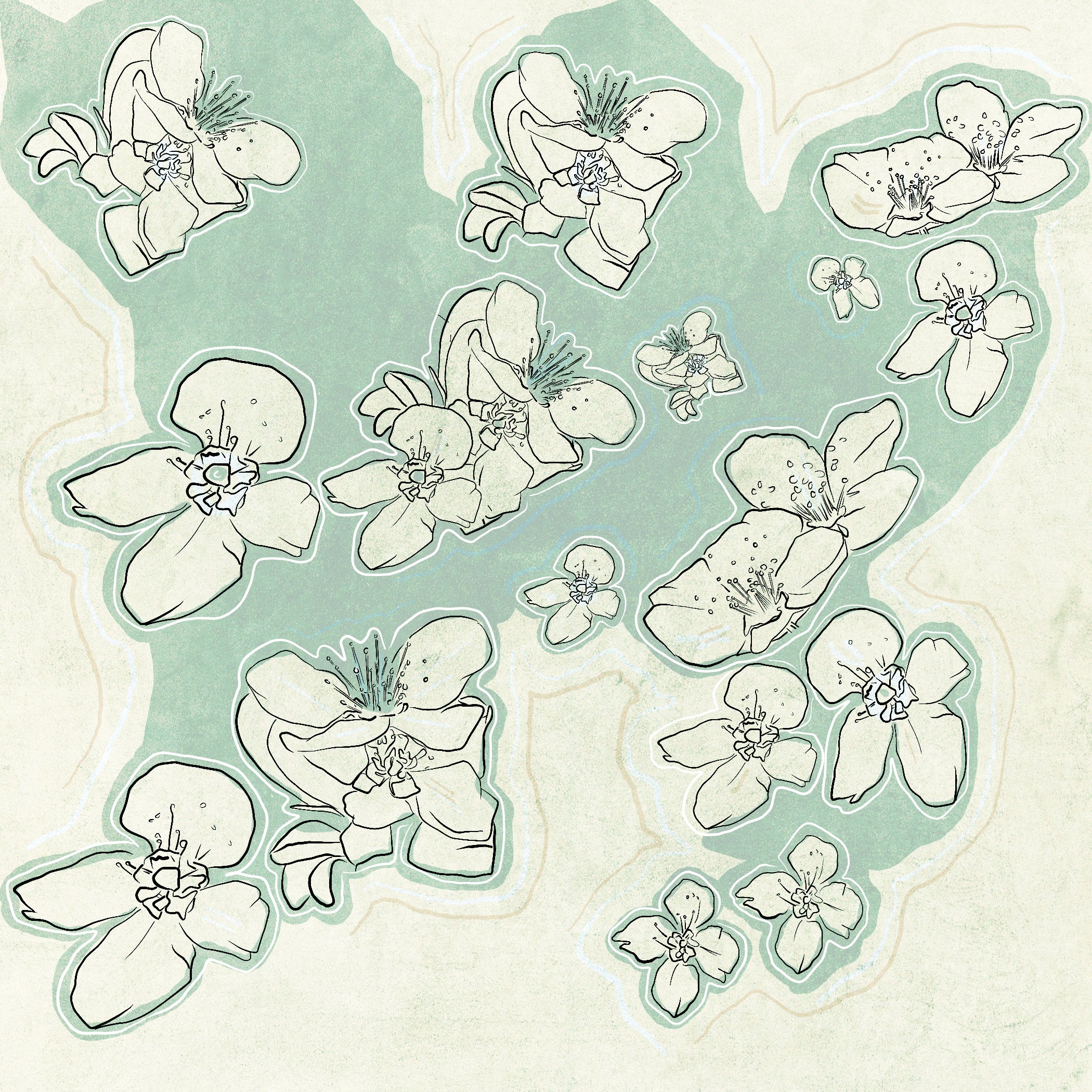 "Blossom" Print