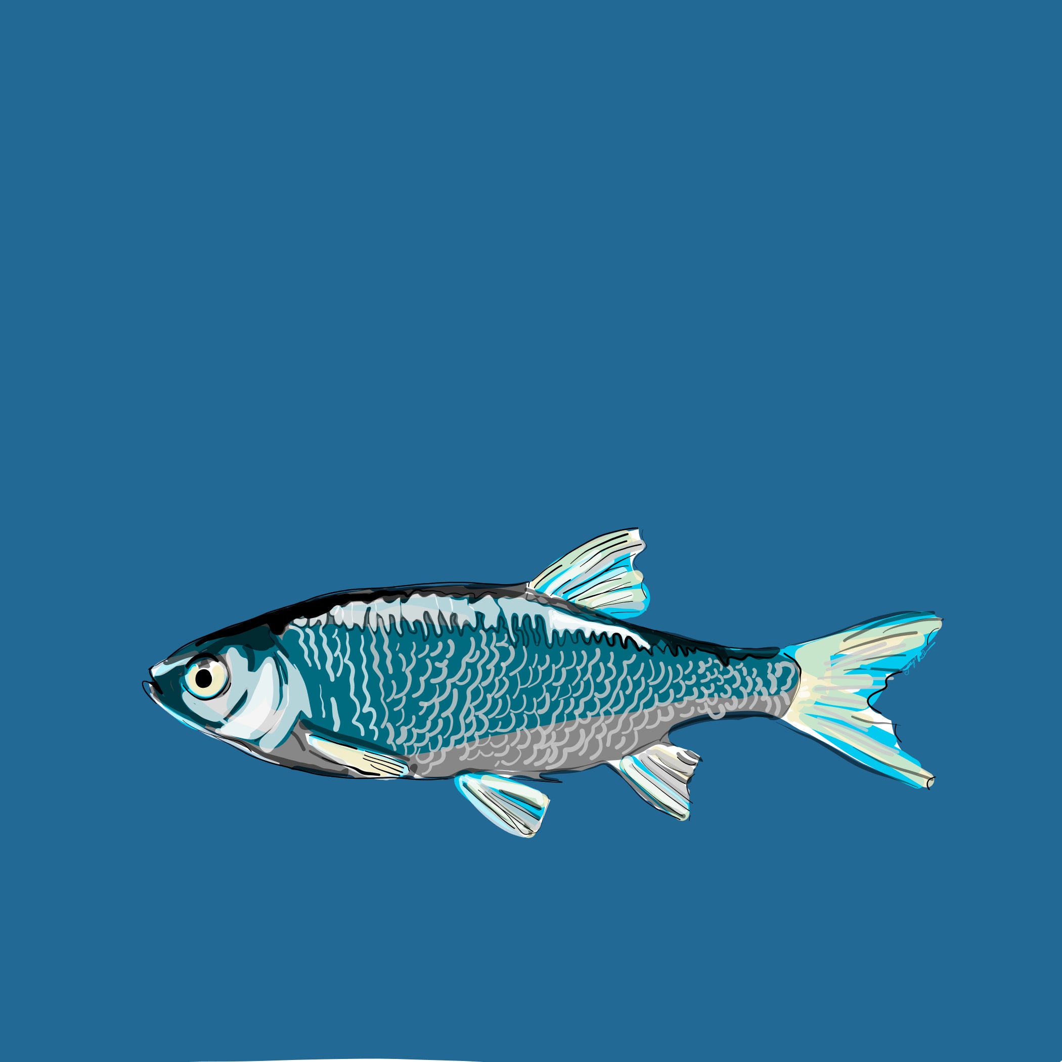 "River Fish" Print