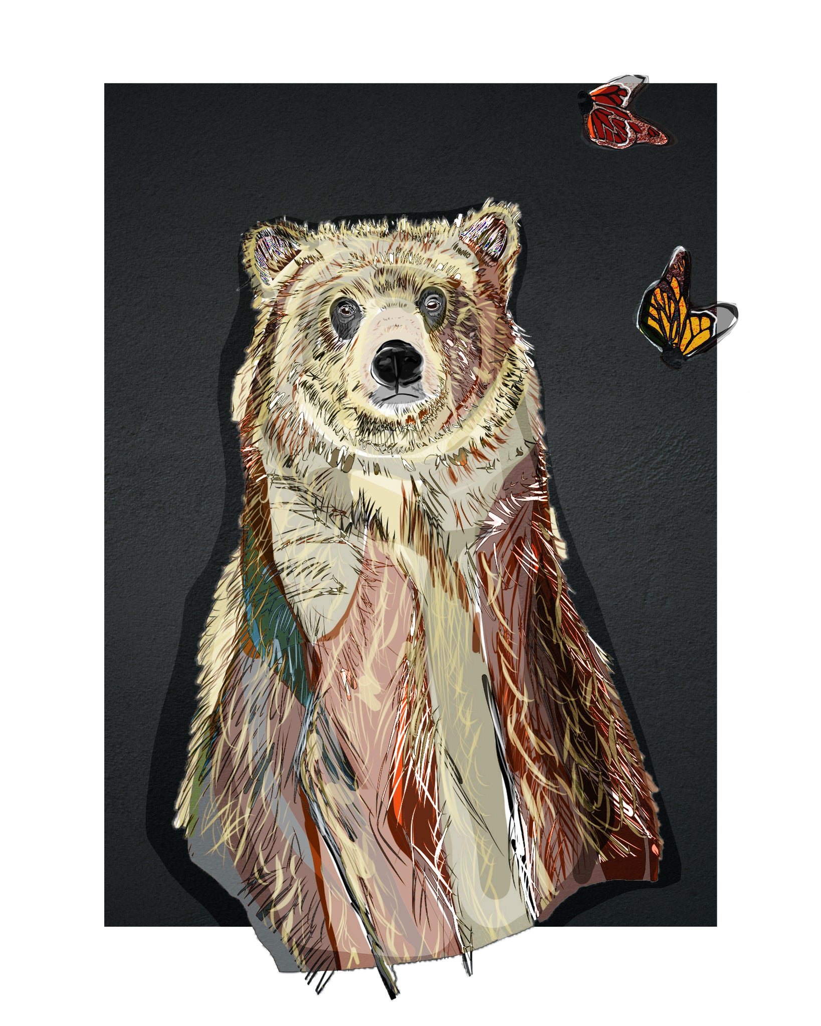 "Grizzly Butterfly" Print