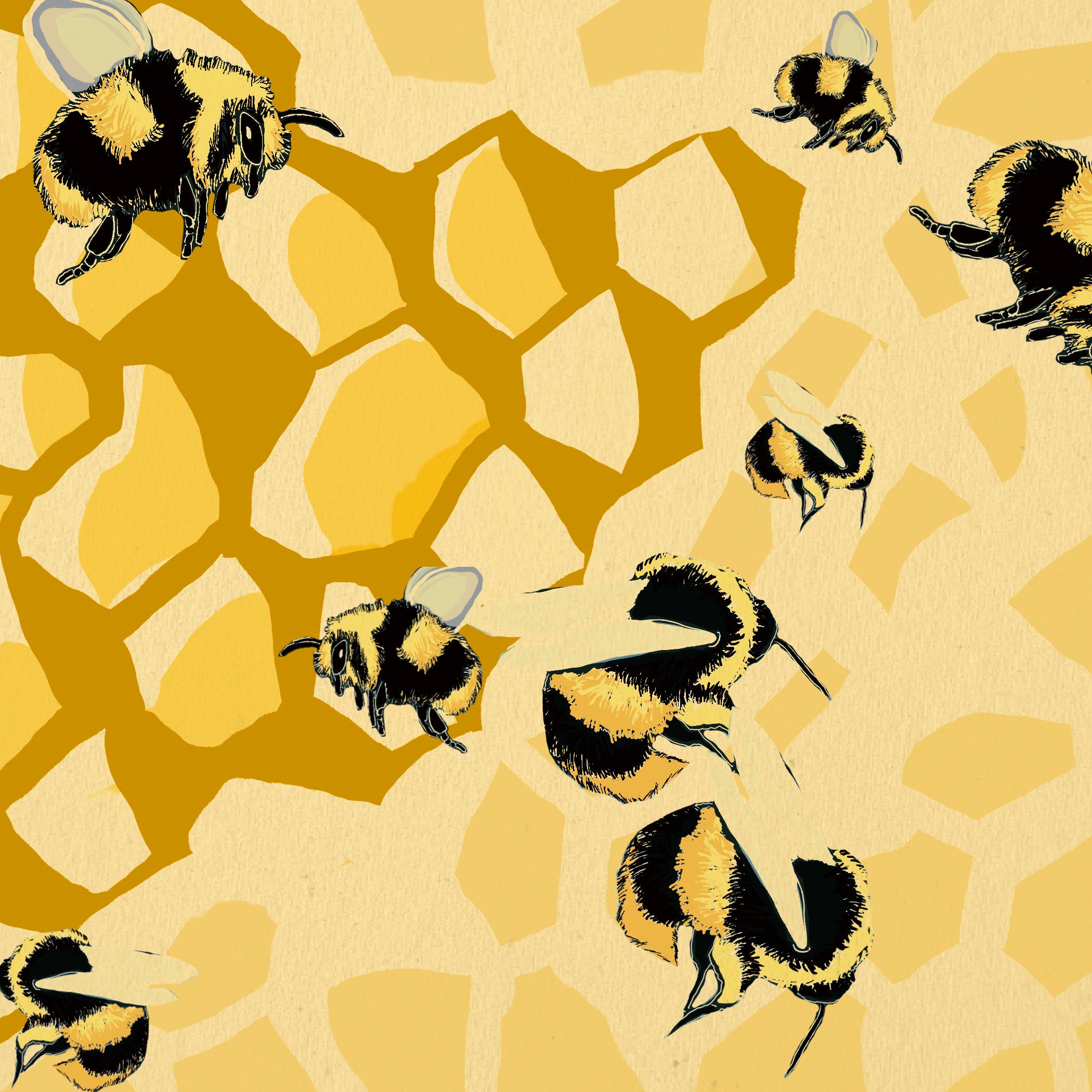 "Honey" Print