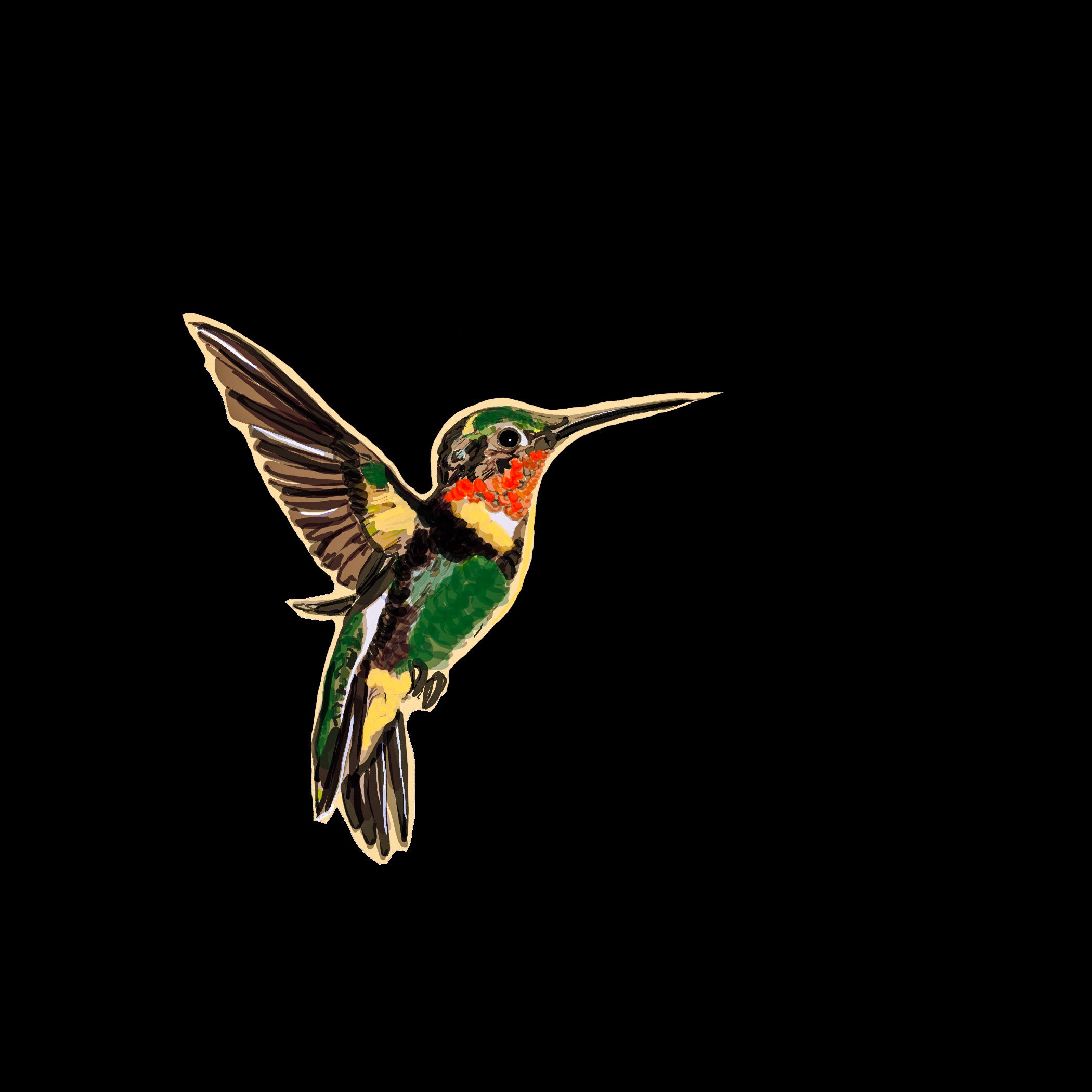 "Hummingbird" Print