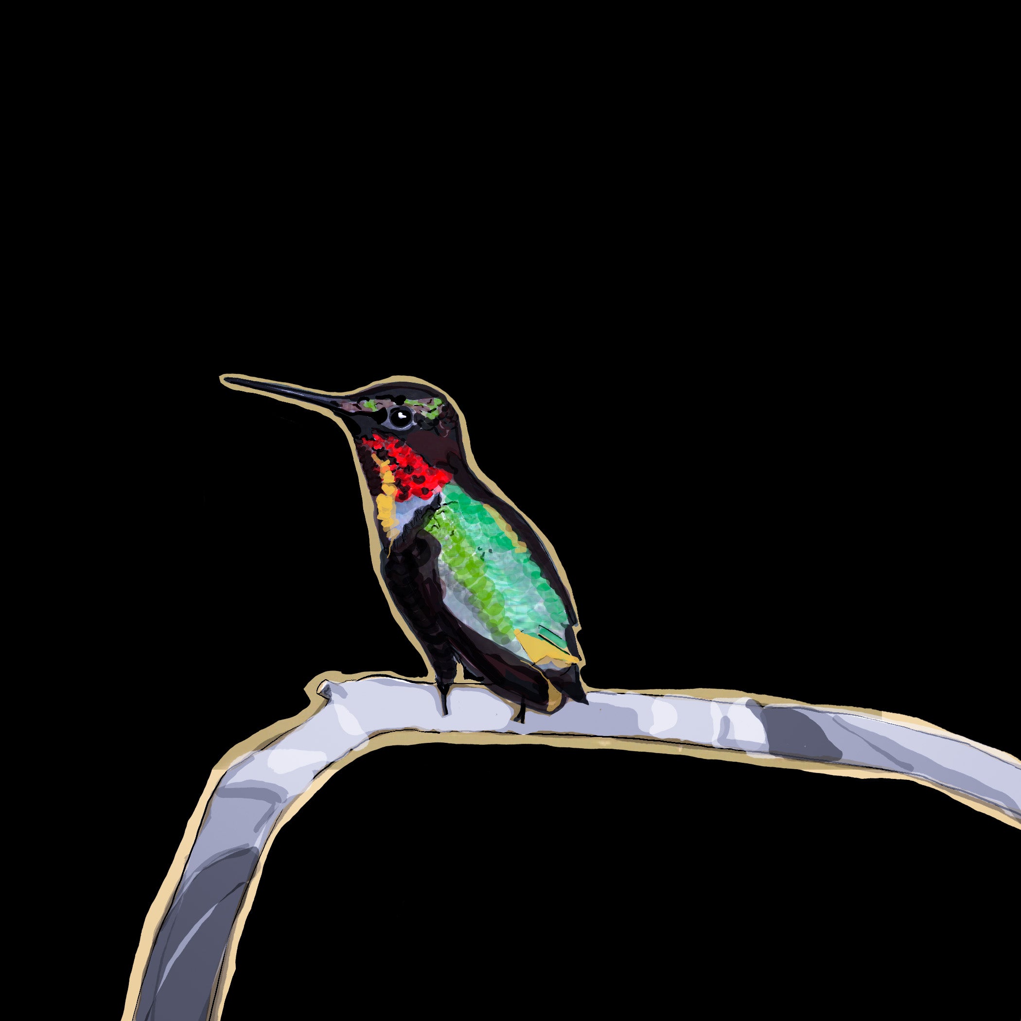 "Hummingbird" Print