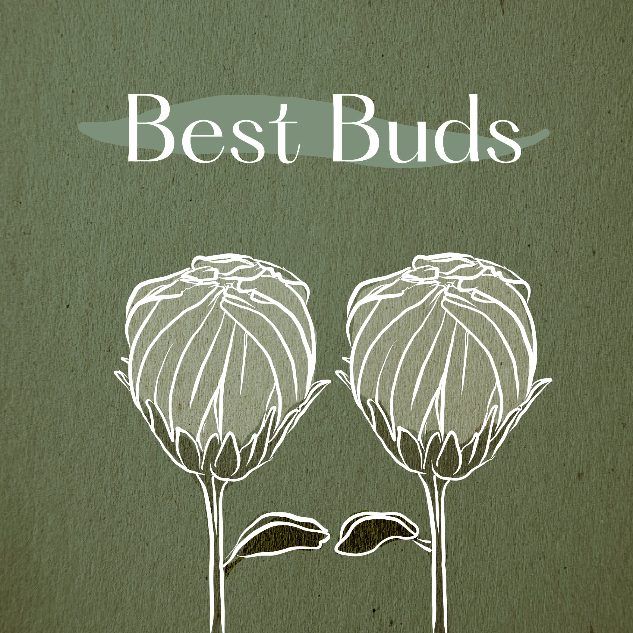 "Plant Pun" Postcards