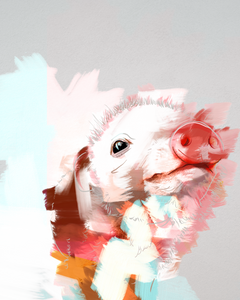 "Painted Pig" Print