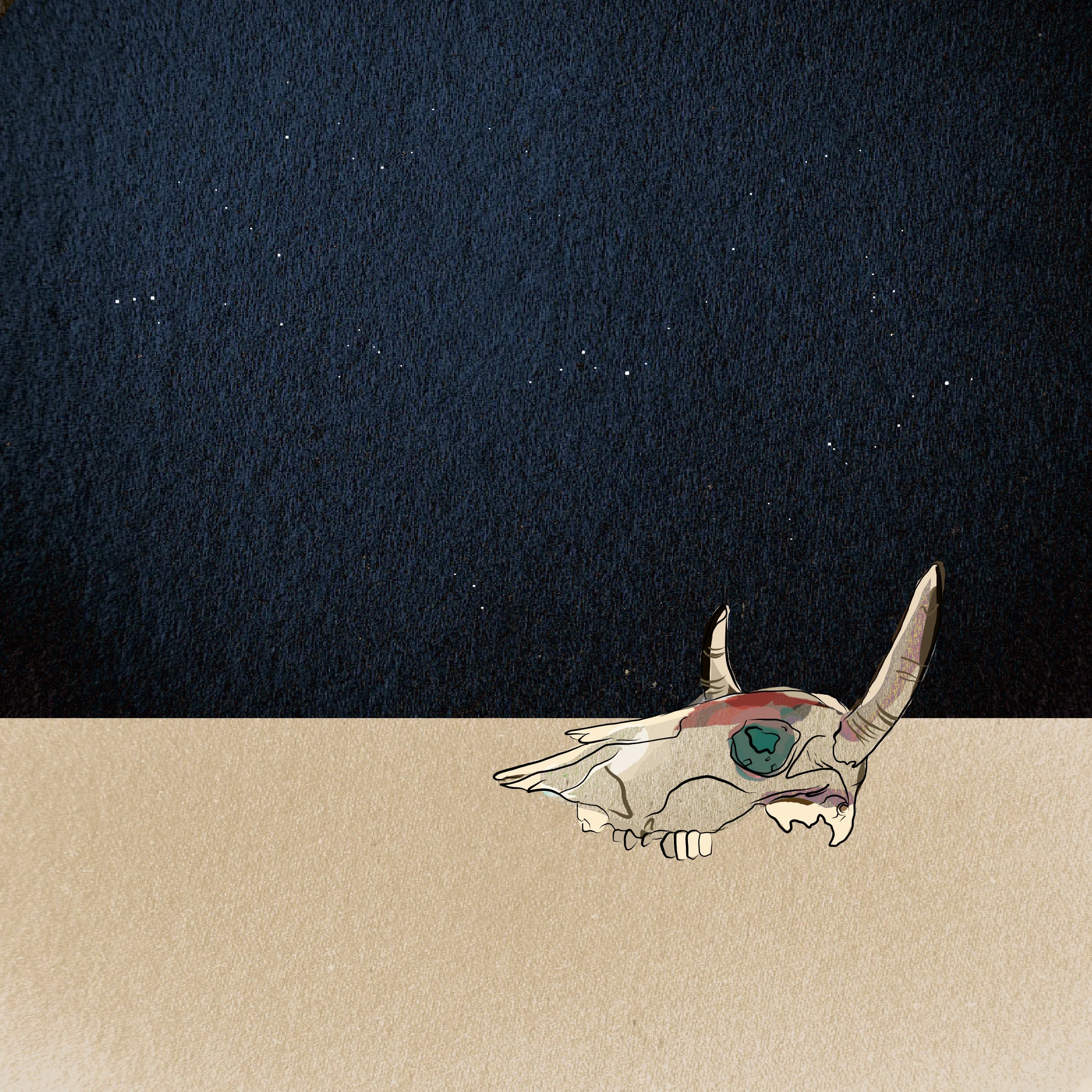 "Skull" Print