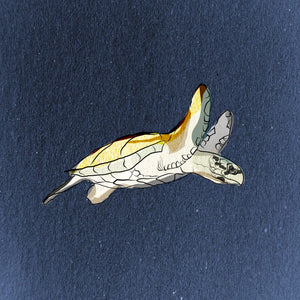 "Turtle" Print